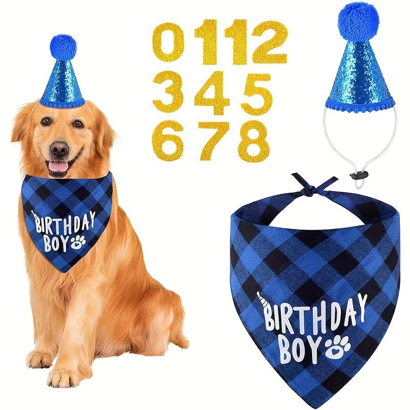 TEMU Dog Pet Birthday Set Including A Scarf And A Hat