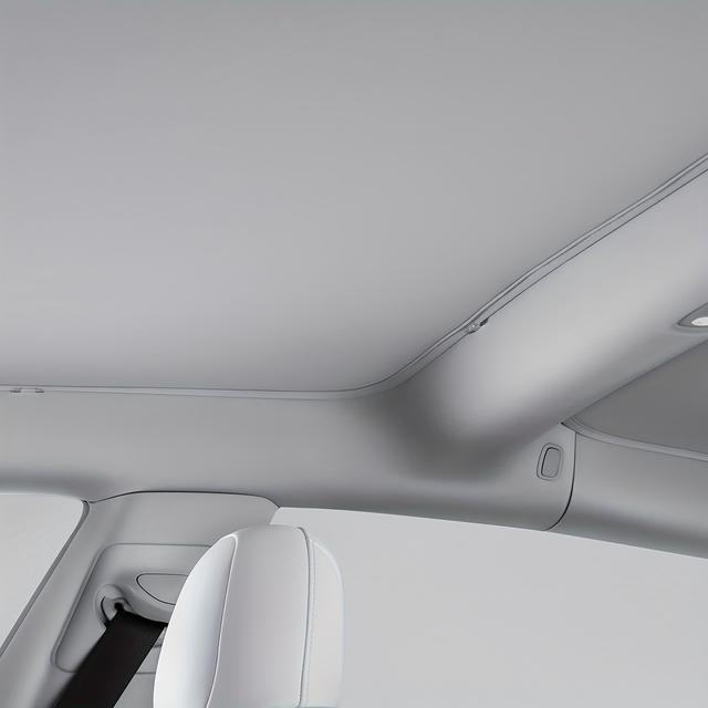 TEMU Suitable For Model ! Dual--piece Sunshade Curtain, Uv Protection And Heat Insulation