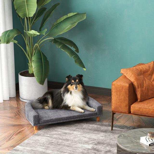 TEMU Pawhut Dog Sofa, Dog Couch Bed For Large Dogs, Elevated Pet Cat Sofa Bed With Removable Washable Cover, Anti-slip Foot Pads, Dark Grey