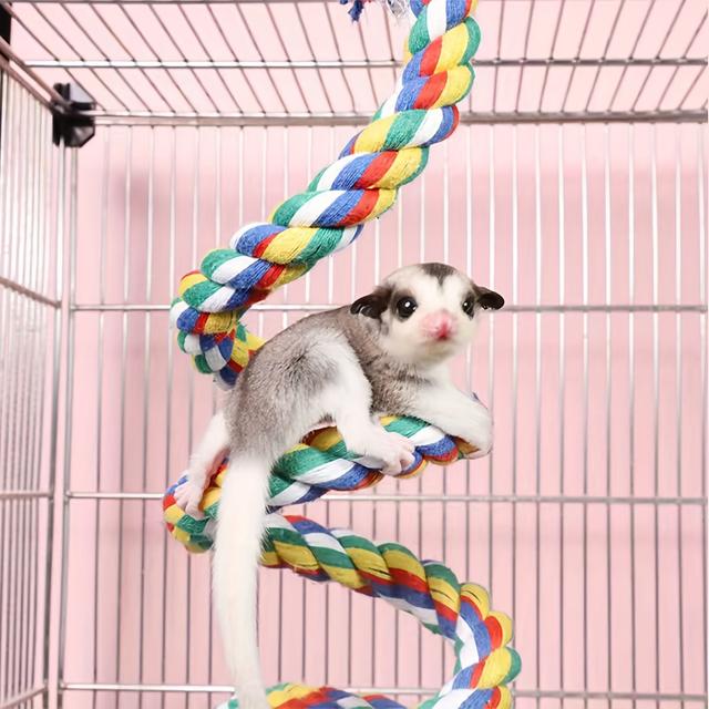 TEMU Rope Swing For Small Pets | Durable Climbing Toy With Knotted Design | Suitable For Hamsters, Parrots & Birds | Cage Accessory For Exercise And Entertainment
