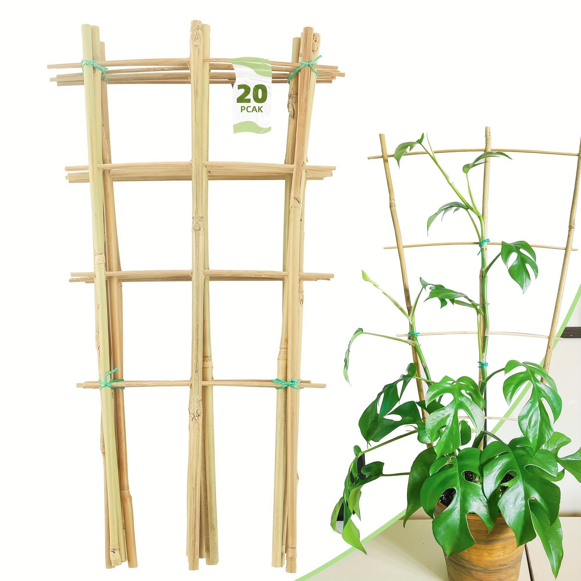 TEMU Set Of 20 Bamboo Trellises Designed For Climbing Plants, Featuring -inch Natural Fan-shaped Support For Enhancing Potted Plant Aesthetics