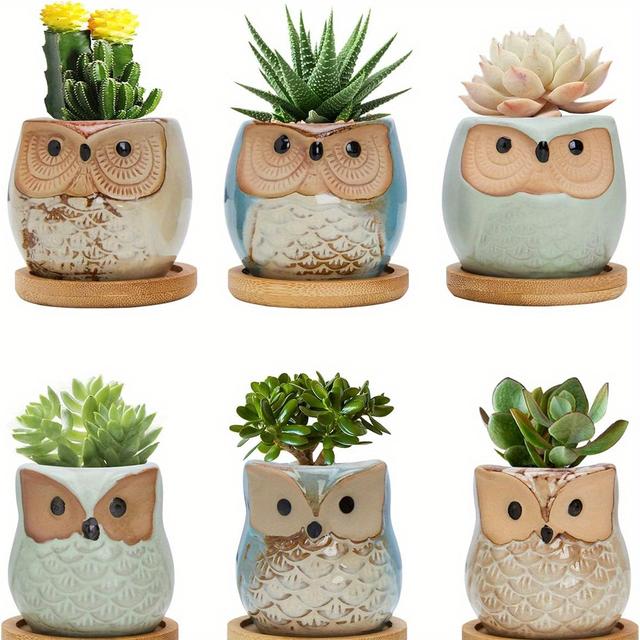 TEMU 6개 2.5인치 올빼미 다육식물 화분 - 미니 세라믹 화분, 배수구가 있는 미니 다육식물용, 식물 미포함, 귀여운 다육식물 키트