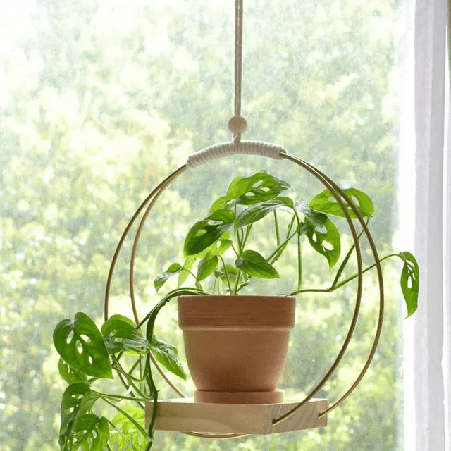 TEMU 1pc Boho-chic Golden Macrame Plant Holder - A Versatile Decoration For Your Walls Or Windows, Ideal For Enhancing Your Living Room And Bedroom (pot And Plant Not Included)