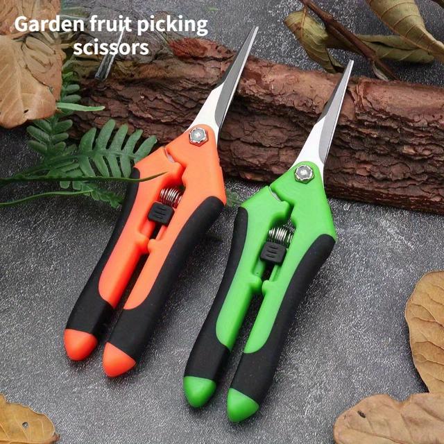 TEMU Stainless Steel 2pcs Fruit Picking Scissors, Fruit Picking Scissors, Grape Scissors, Flower Pruning Scissors, Flower Pepper Picking Scissors