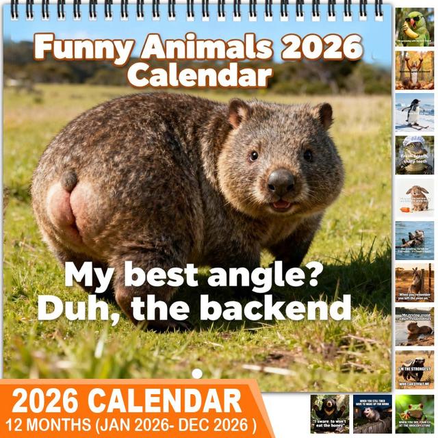 TEMU 1pc - Cute Wall Planner With 12 Months, Spiral Bound, Laminated Pages, English Language, Daily View, Home Or Office, Christmas & Happy New Year Gifts, Cute Wall Decor | Design | Laminated Pages