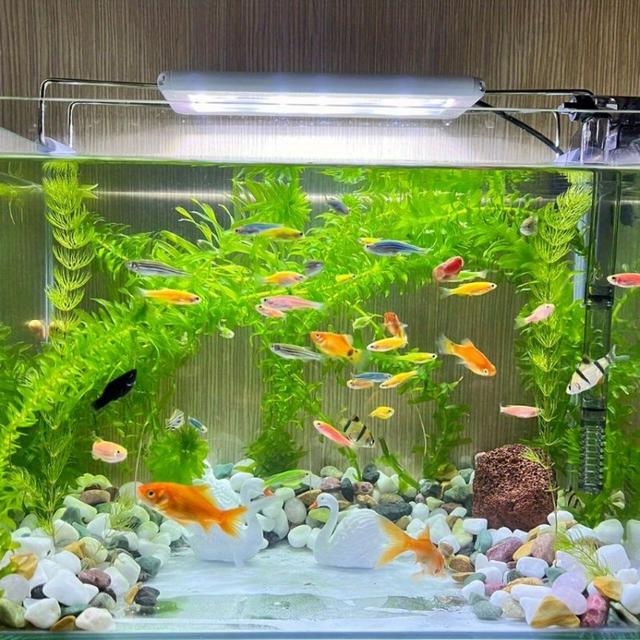 TEMU Under Cabinet Lighting, 4-pack Motion Sensor Closet Lights, Wireless Usb Rechargeable Led Light Bars, Sensor Night Lights For Drawers, Wardrobe, Stair, Kitchen