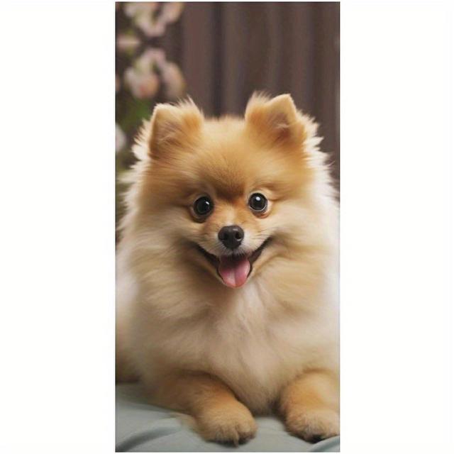 TEMU منشفة شاطئ لطيفة للكلاب البومرانية - 27.5x55 بوصة، وممتصة، خالية من الرمال، سريعة الجفاف، منشفة حمام وسباحة للنساء، نمط عصري، بوليستر، 240 جرام لكل متر مربع، تصميم كلب، مناشف شاطئية