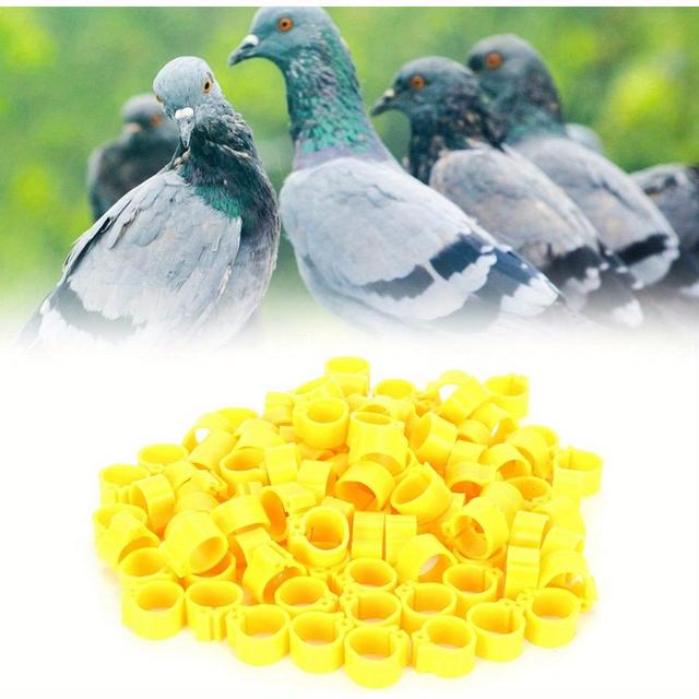 TEMU 200pcs de Perna de Duráveis em Brilhante de 10mm em PP - Etiquetas de Fáceis de Prender para Pintinhos, Pombos, Papagaios e Galinhas, Perfeitas para Monitoramento de Aves e Aves de Capoeira