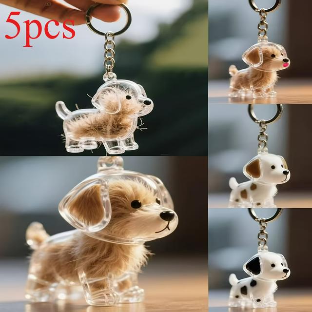 TEMU 5 st Transparenta Förvaringslådor för Djurhår | Minnesmynt i Plast, Enkel Visning, Souvenirer för Husdjur till Jul, Halloween, Födelsedagspresenter