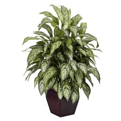 3Ft Silver Queen with Decorative Planter By Nearly Natural in Green | 3 ft | Michaels®