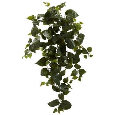 Hanging Philo Plant, 3ct. By Nearly Natural in Green | 34" | Michaels®