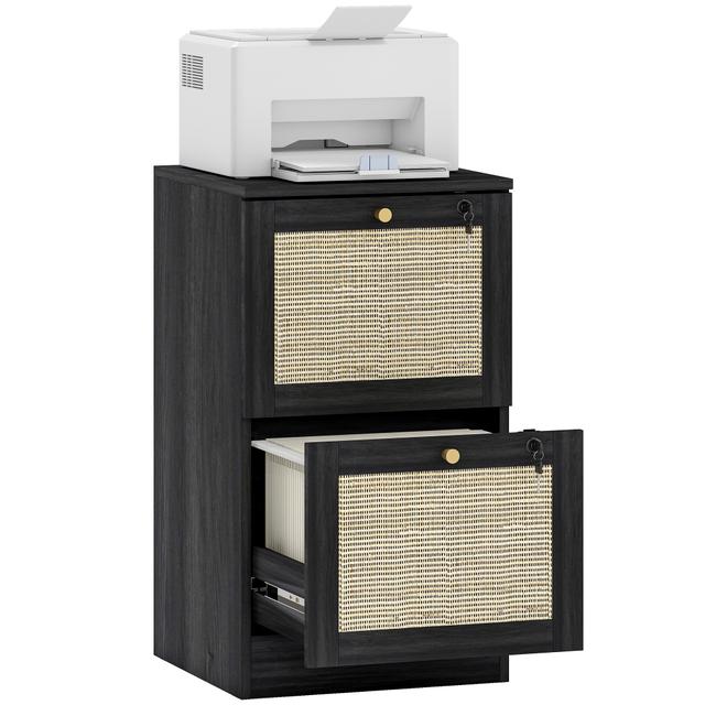 HOMCOM File Cabinet Lockable Filing Cabinet for A4 Letter | Style: Black | Size: 2-Drawer | by TSC