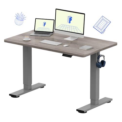 FLEXISPOT EN1 One-Piece Standing Desk 48 x 30 Inches Height Adjustable Electric Desk (Silver Frame + Grey Wood Grain Top, 2 Packages)