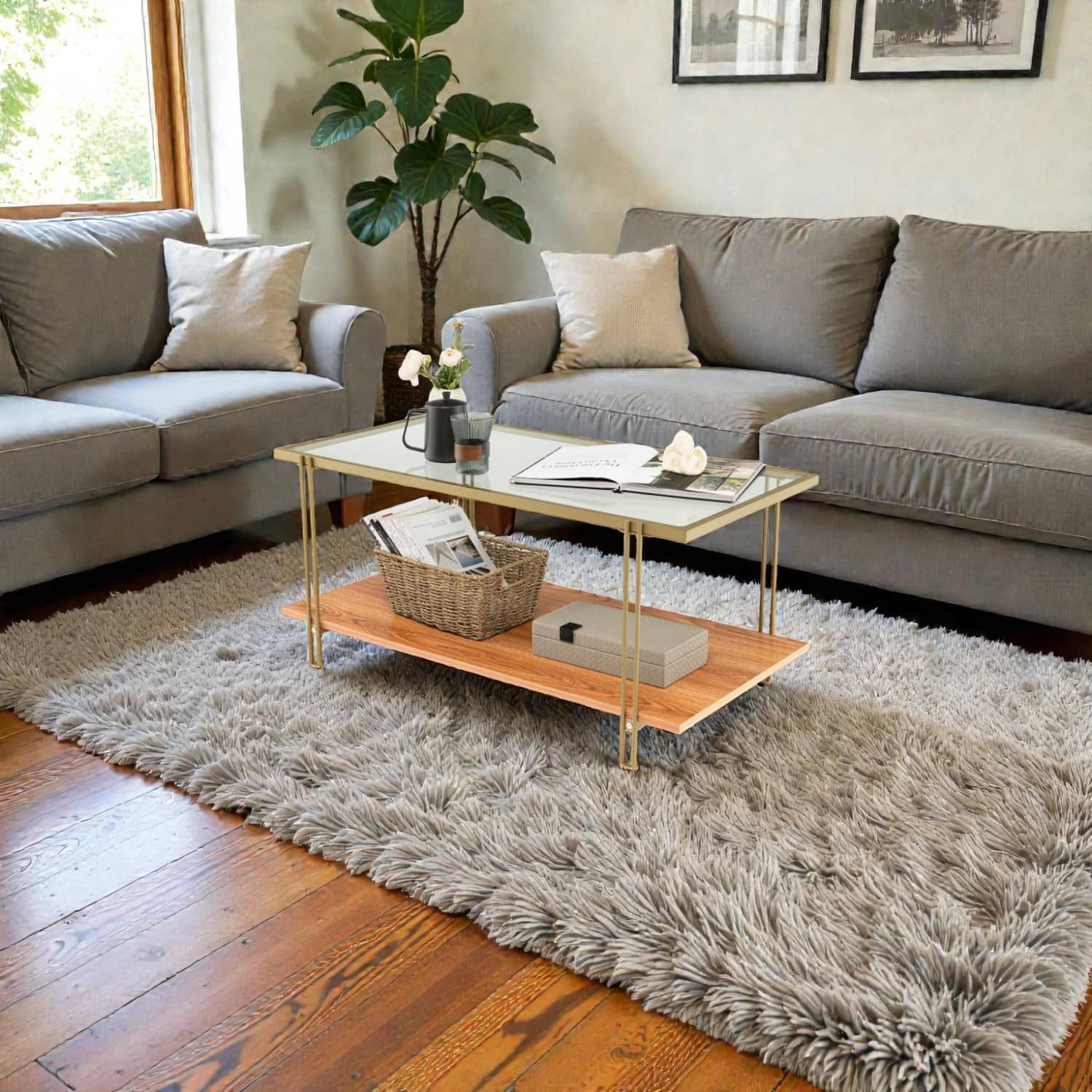 Hivvago - Stylish 2-Tier Rectangular Coffee Table with Glass Surface and Gold-Accented White Frame - Golden