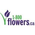 1800Flowers Canada Coupons