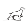 Alpha Dog Nutrition coupons