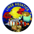 Lincs Aquatics Vouchers
