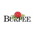 Burpee Coupons