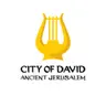 City of David Store coupons