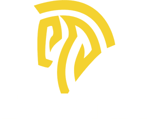 EasySMX Coupons