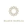 Black Dahlia coupons