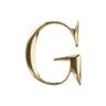 GOODSTONE coupons