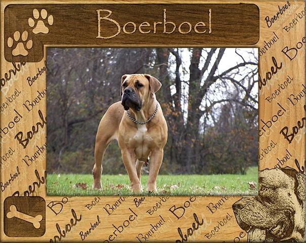 Giftworks Plus DBA0028 Boerboel- Alder Wood Frame- 8 x 10 In