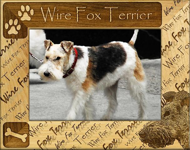 Giftworks Plus DBA0176 Wire Fox Terrier Alder Wood Frame- 8 x 10 In