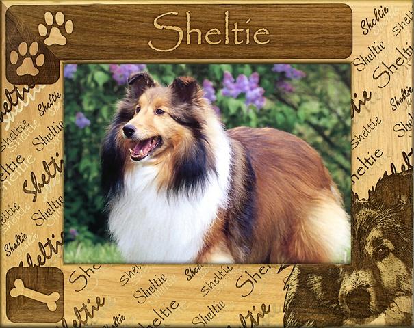 Giftworks Plus DBA0153 Sheltie- Alder Wood Frame- 3.5 x 5 In