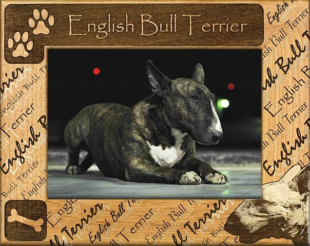 Giftworks Plus DBA0069 English Bull Terrier- Alder Wood Frame- 4 x 6 In
