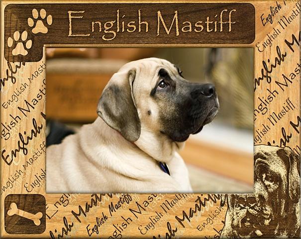 Giftworks Plus DBA0072 English Mastiff- Alder Wood Frame- 4 x 6 In