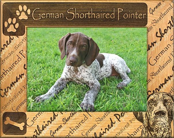Giftworks Plus DBA0083 German Shorthaired Pointer- Alder Wood Frame- 5 x 7 In