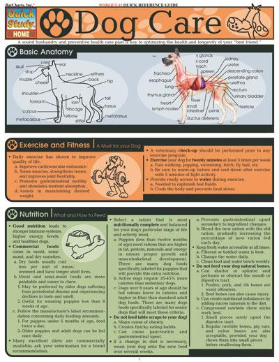 BarCharts- Inc. Dog Care- Pack of 3